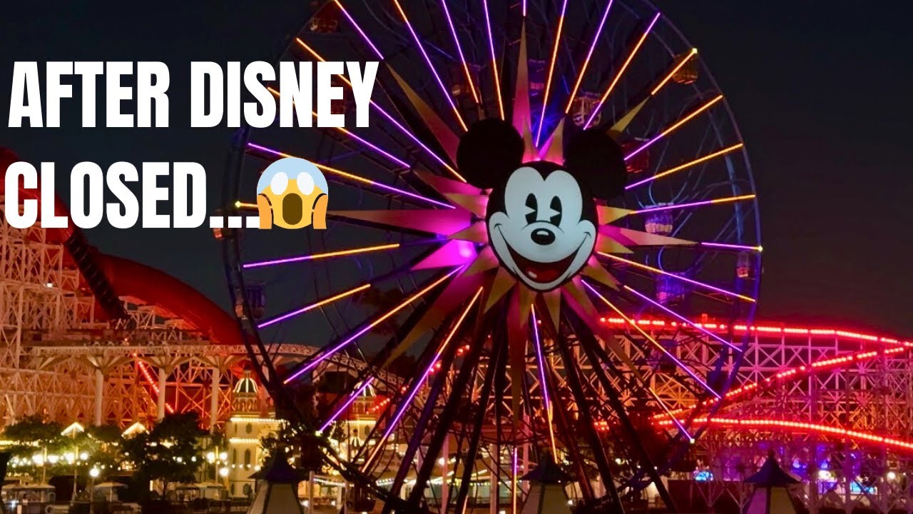 Oogie Boogie Bash After Hours 🎃 | INSANE Park Shots You’ve NEVER Seen