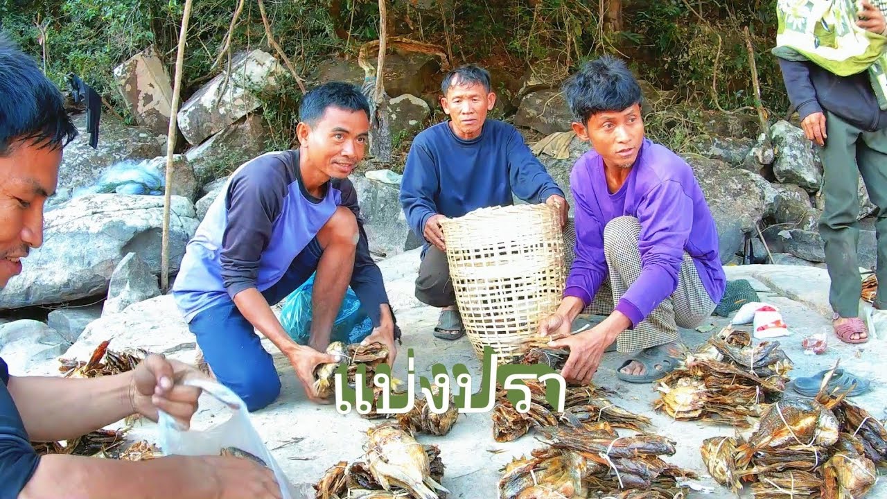 กับบ้านก่อนทีมงานสองคนกับพรานมอง//ກັບບ້ານກ່ອນທີມງານສອງຄົນກັບພານມອງ//พราน ทองแท้//27.ม.ค.2026