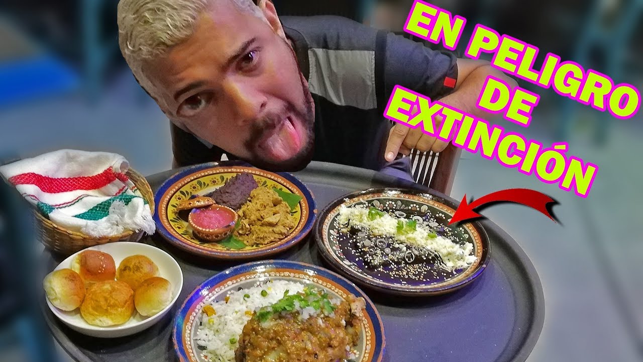 PROBANDO COMIDA CALLEJERA en PELIGR&Oacute; de EXTINCI&Oacute;N y Cochinita PIBIL /  David Show