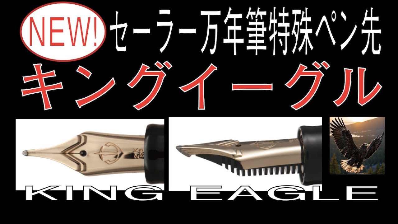 【新商品】キングイーグル（セーラー万年筆Special nib）【後半にAMSR】