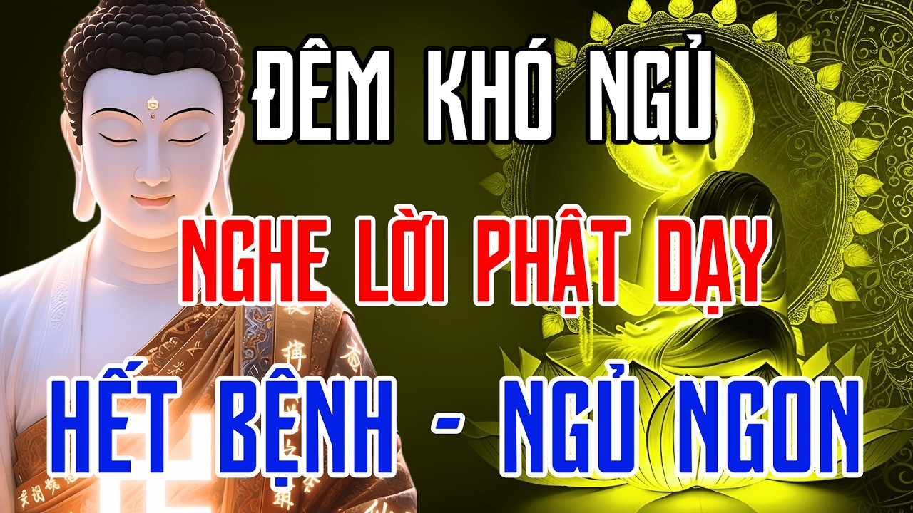 Nghe Lời Phật Dạy Về Buông Bỏ – Hết Khổ Đau, Tâm Tĩnh Lặng, Giấc Ngủ Bình Yên