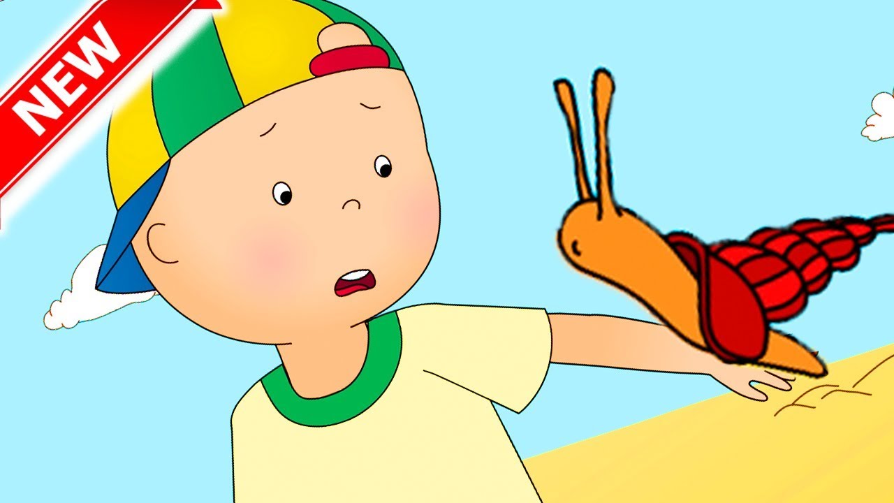 Caillou auf Deutsch neue Folgen ★ Caillou und die Meerestiere COMPILATION ★ HD 2018 ✔