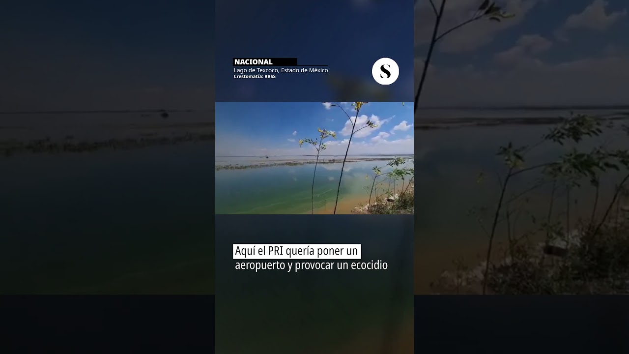 #Nacional 🌿 El ecocidio que la 4T evit&oacute;