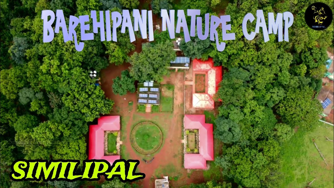 BAREHIPANI NATURE CAMP||SIMILIPAL TIGER RESERVE||SIMILIPAL ECO-TOURISM #nature #forest #no1_viral