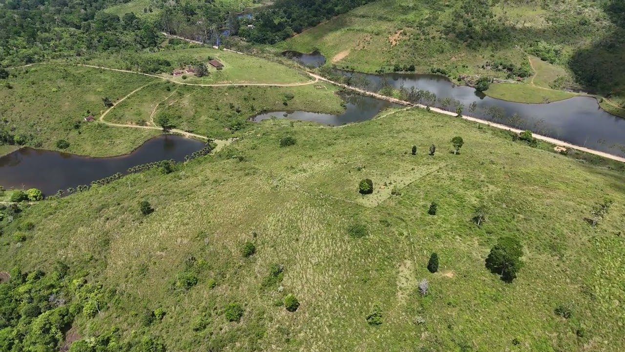 04 - FAZENDA JACARANDÁ (IBIRATAIA-BA)