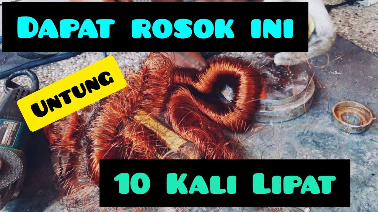 Untung 