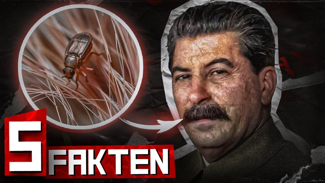 TOP 5 HARTE FAKTEN &uuml;ber den KOMMUNISMUS [ Teil 1]