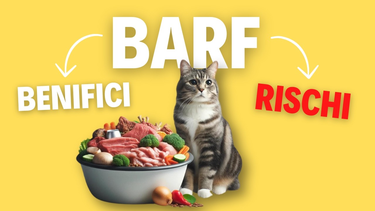 Dieta BARF del gatto: Rivoluzione Alimentare o Rischio Nascosto?