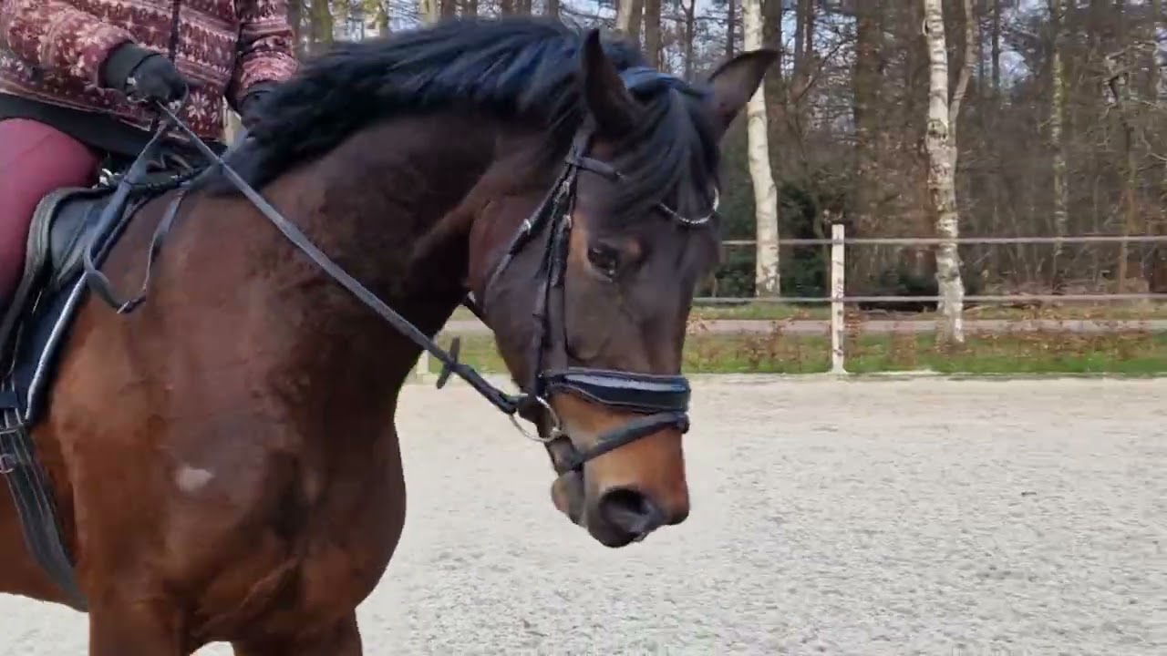 Pacelle Desperado x Sandreo 3 februari 2026