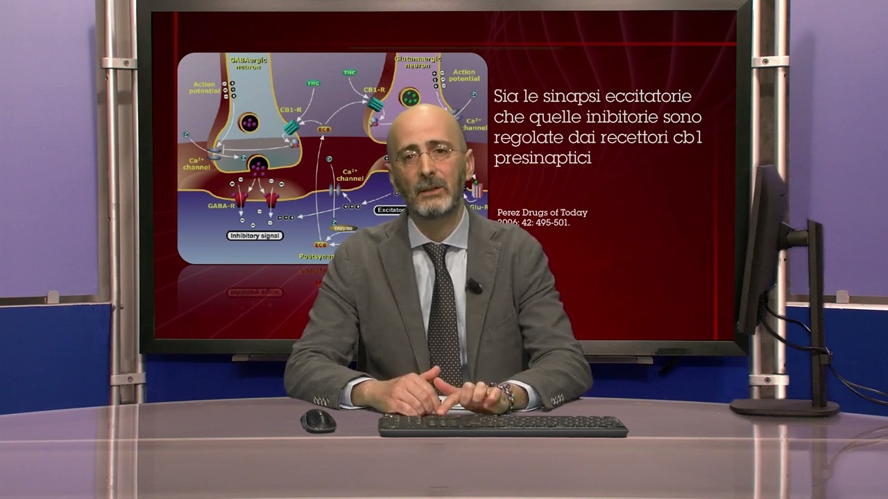6. - Il Sistema endocannabinoide e la sua regolazione emozionale