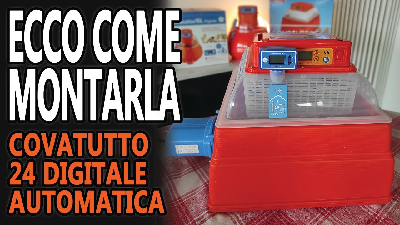 COME INCUBARE UOVA DI GALLINA - MONTARE L' INCUBATRICE