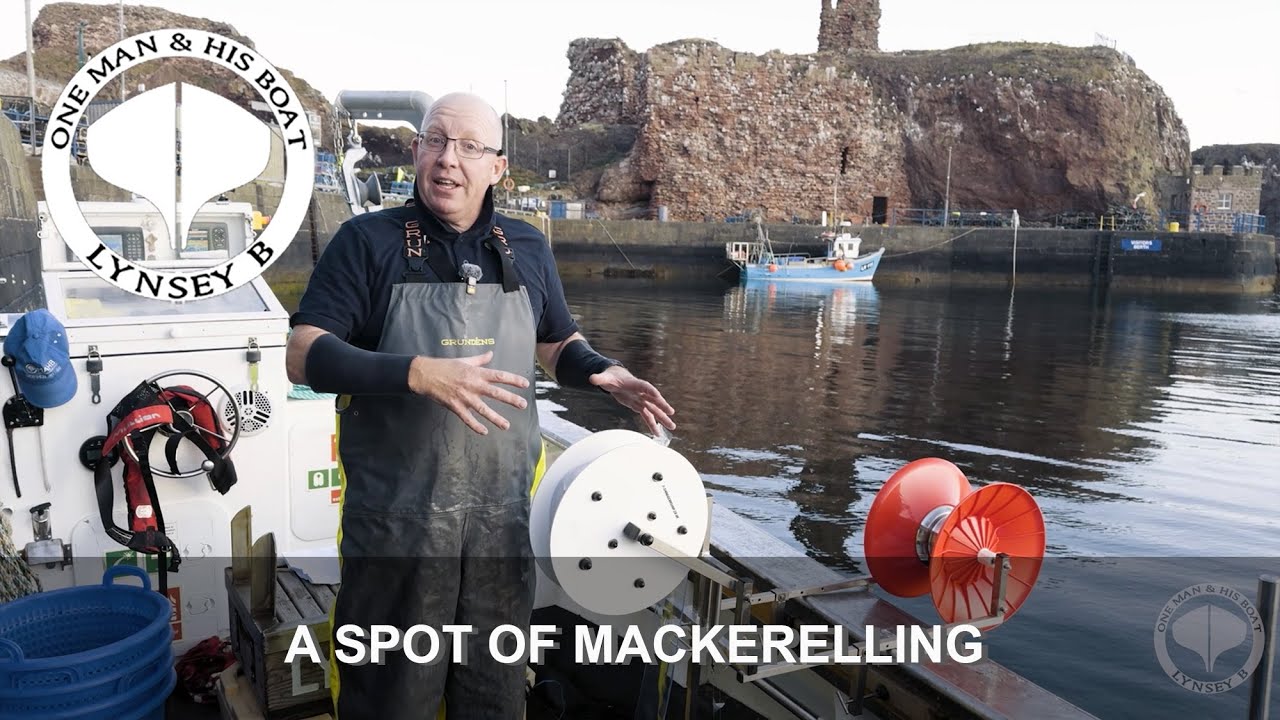 A Spot of Mackerelling