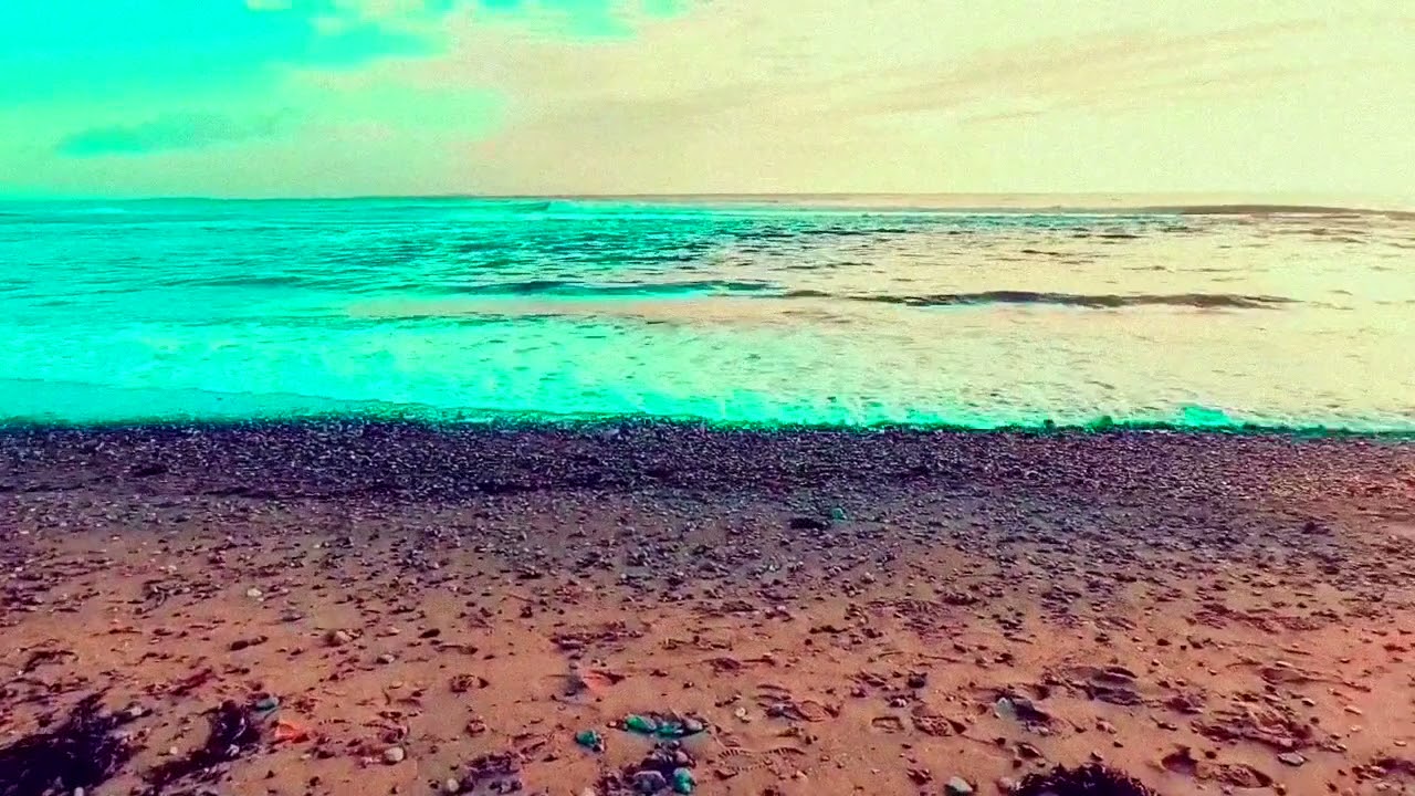 Forlorn - Requiem for an Ocean Planet