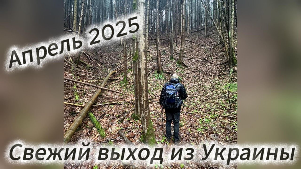 Свежий выход из Украины