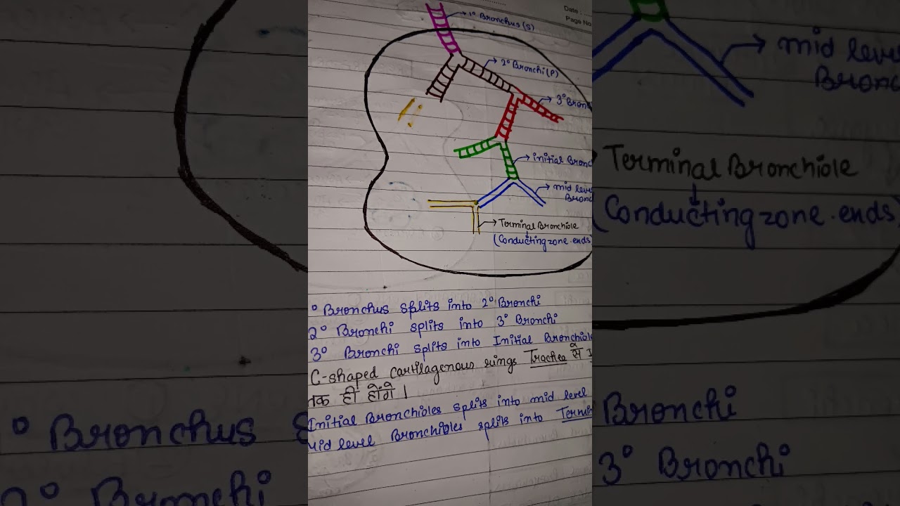 Class 11 zoology by Nomesh sir ❤️ Neet 2026 #neet #neet2025 #pw #physicswallah #exam