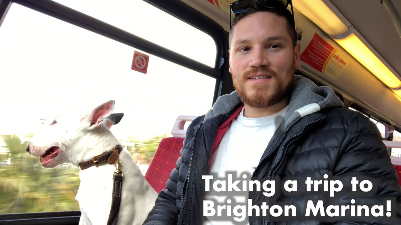 Taking a trip to the largest Marina in the UK: Brighton Marina