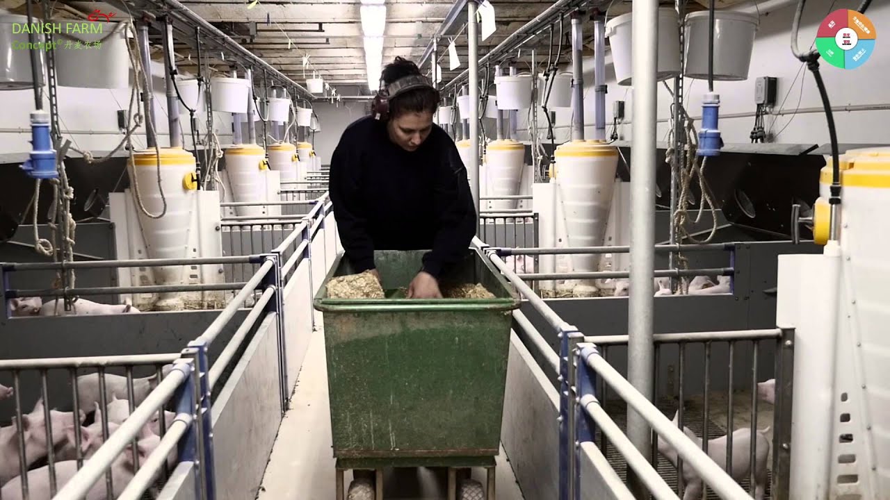 Danish Farm Concept movie