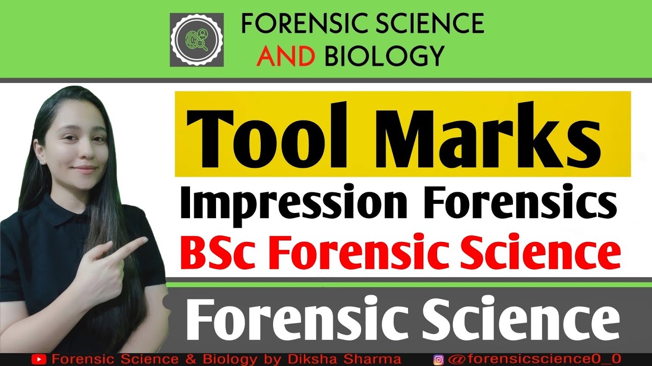 BSc Forensic Science || Tool Marks || Impression Marks