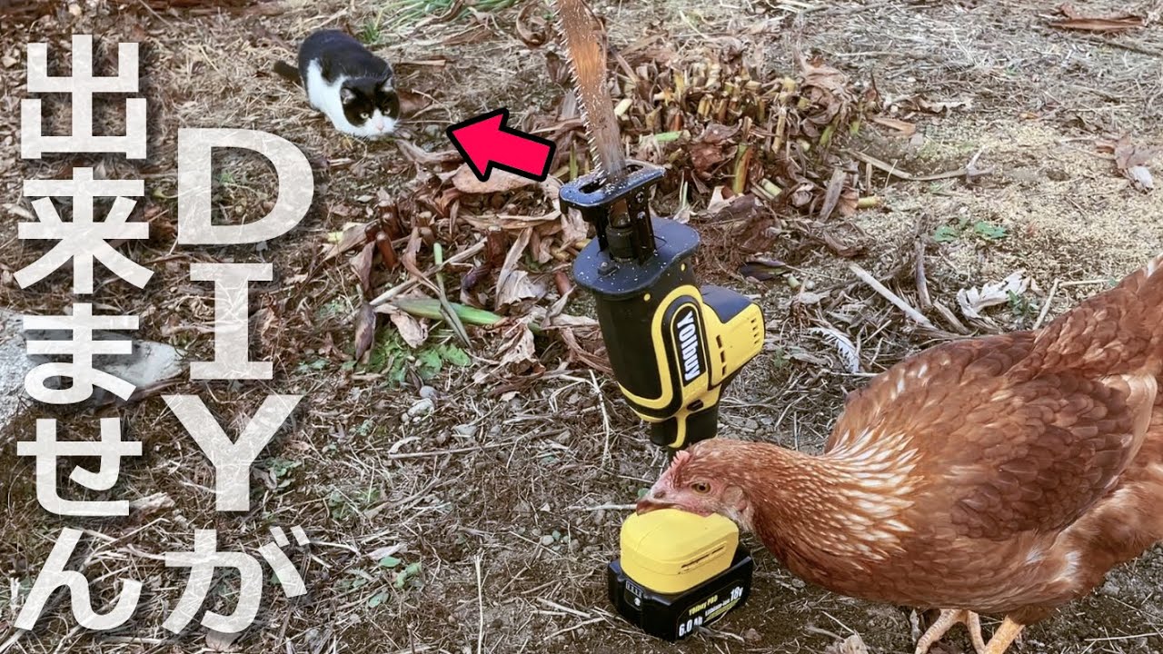 【DIYの予定変わりすぎ現象】卵産みそうなので鶏小屋アップデート→再三にわたる猫の襲来→ご近所の目が気になって急遽やった庭の手入れ→刈った草花を薪代わりに焼芋したら…