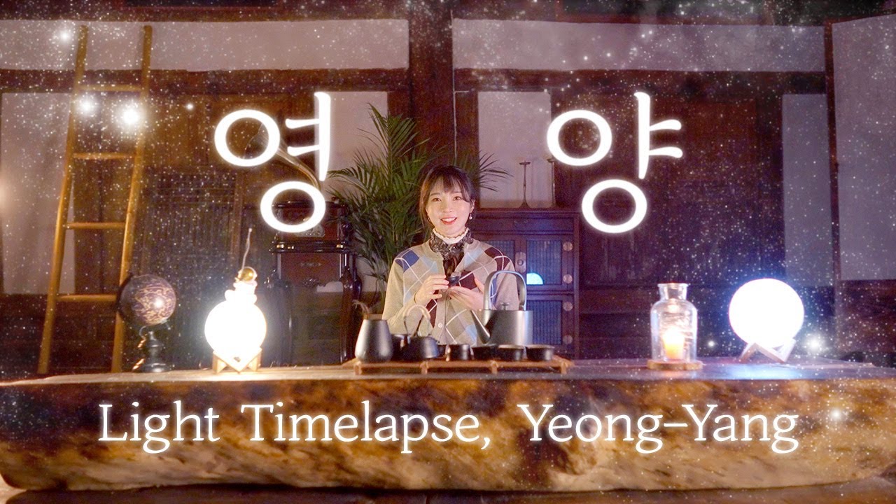 Korean movie-like autumn birch forest tour, come! come!