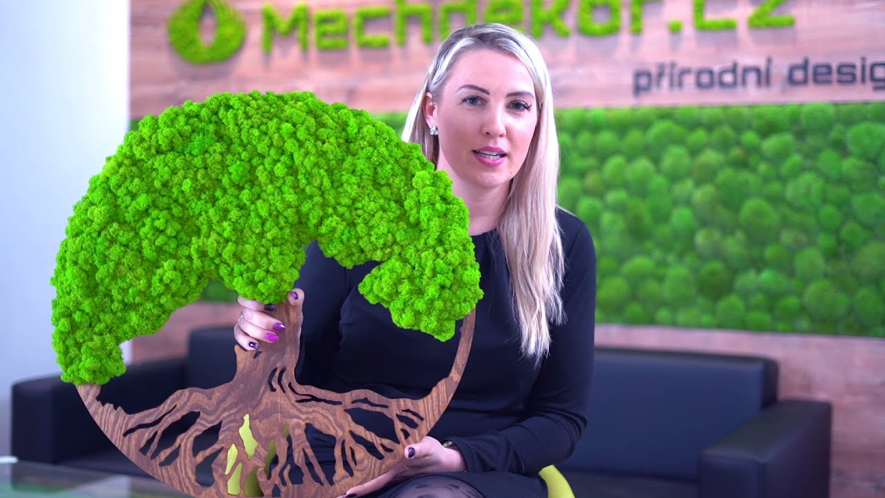 Mech-dekor.cz Třinec