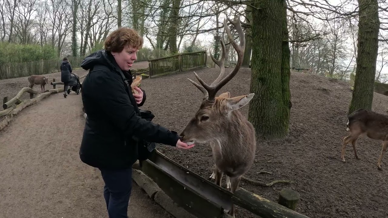 Reportage (Review) Tierpark (Dierenpark) Nordhorn Deutschland 2024