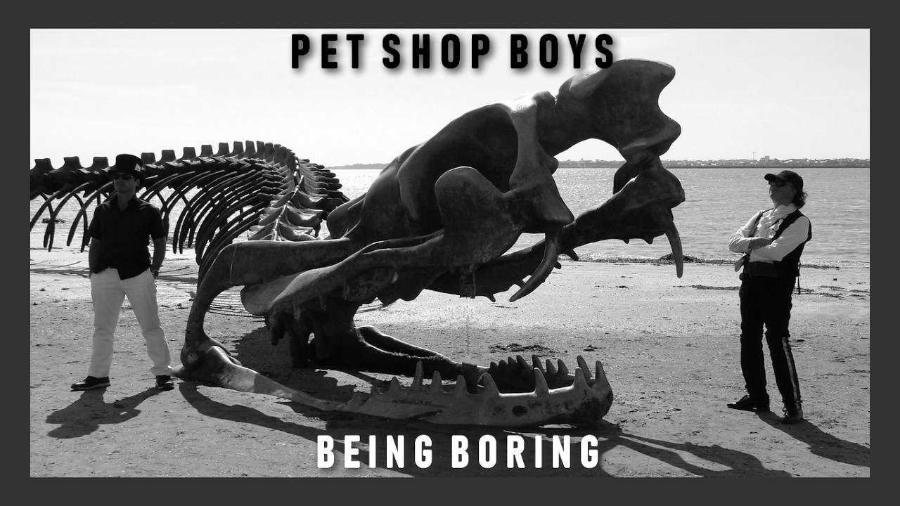 Pet Shop Boys 