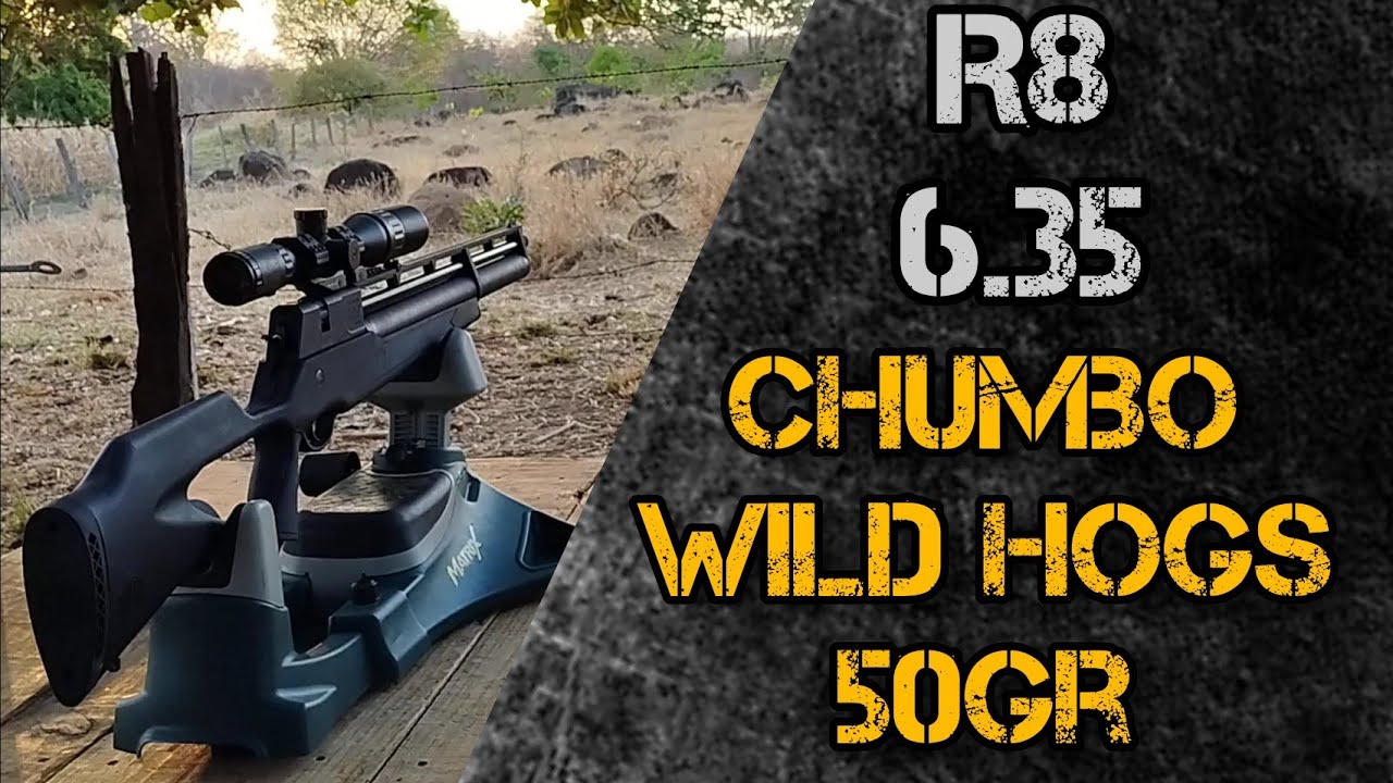 R8 6.35 - wild hogs, Agrupamento e cronografagem