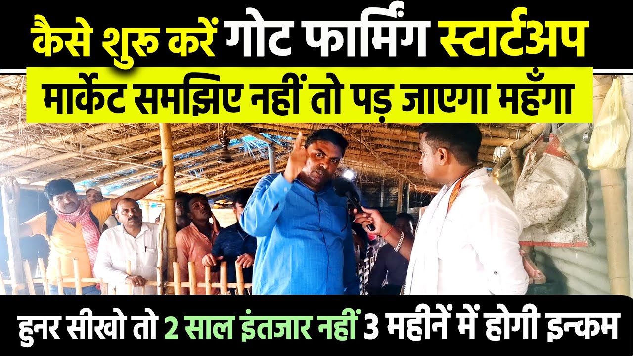 Goat Farming अगर मार्केट समझकर शुरू करेंगे बकरी पालन । How to start Goat Farming