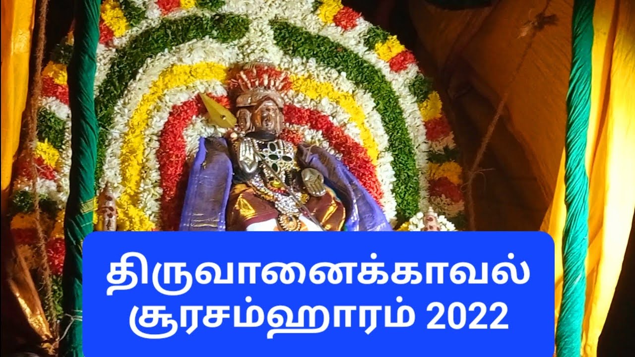 Thiruvanaikaval Soorasamharam | திருவானைக்காவல் சூரசம்ஹாரம் 2022 #soorasamharam  #surasamharam