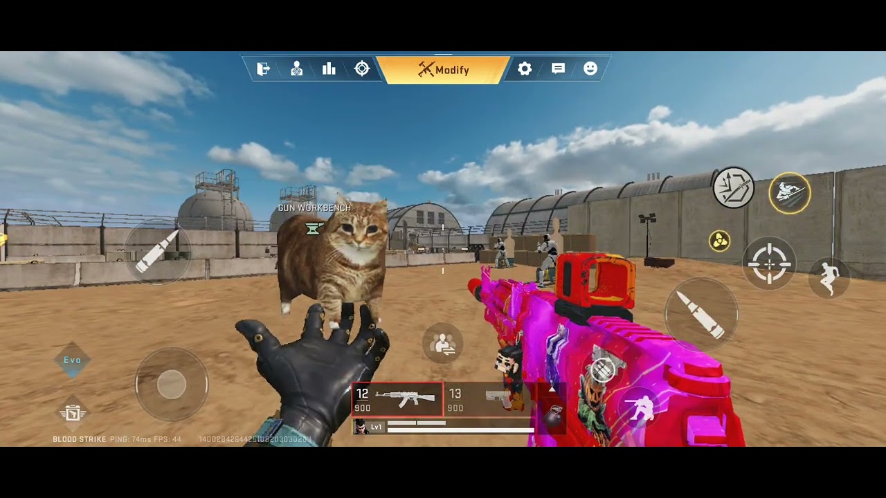 Using my Favorite Gun