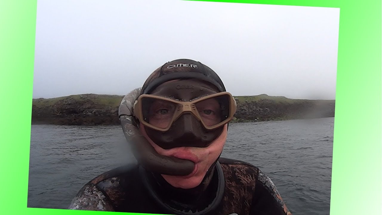 Freediving fun))) 2019