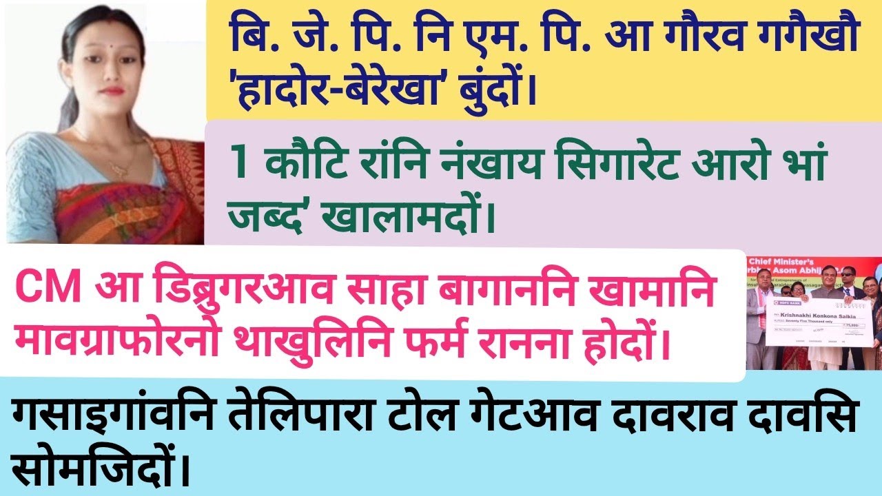 February 10/ Bodo news update /daily Bodo news update / BTC NEWS / 