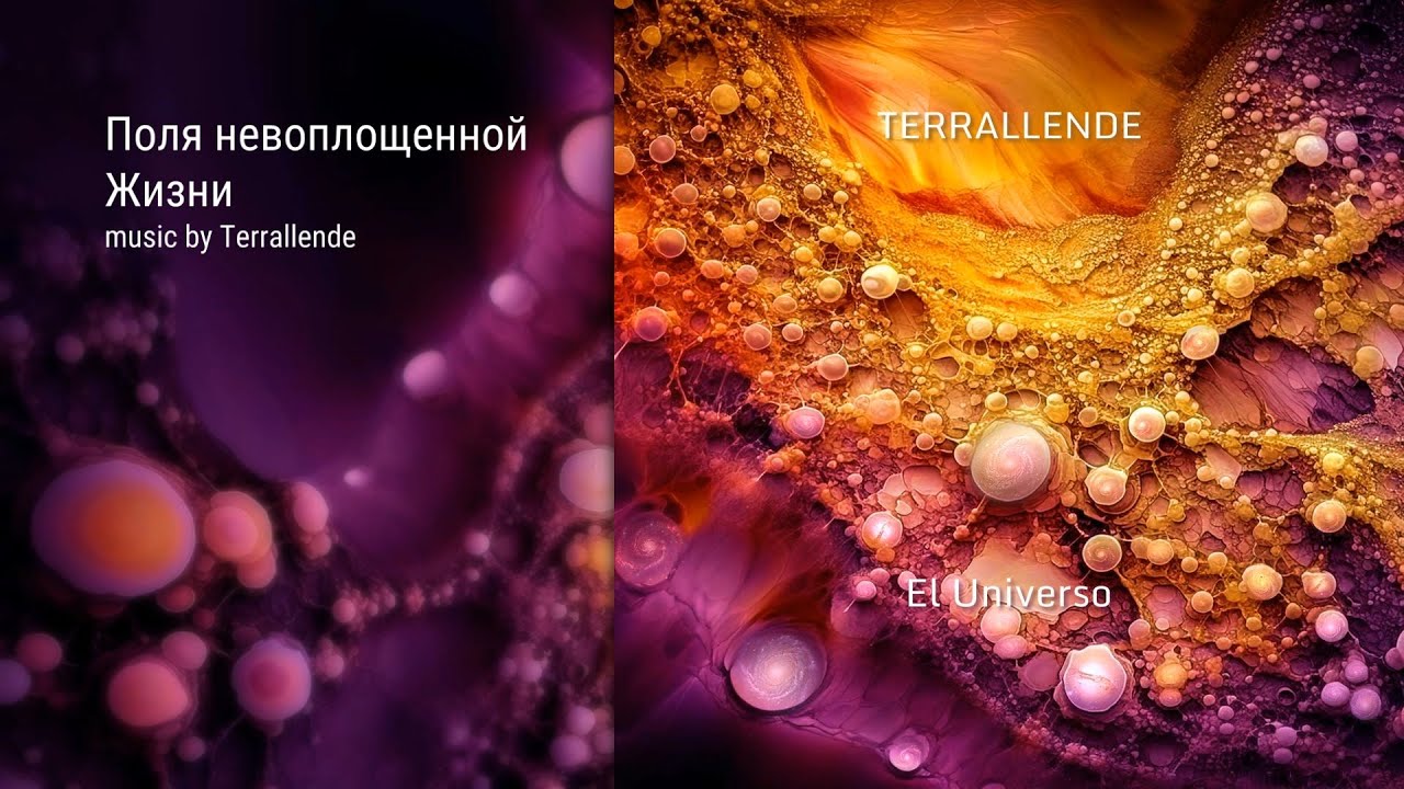«Поля невоплощенной Жизни» • Альбом «Вселенная» • Проект «Terrallende»