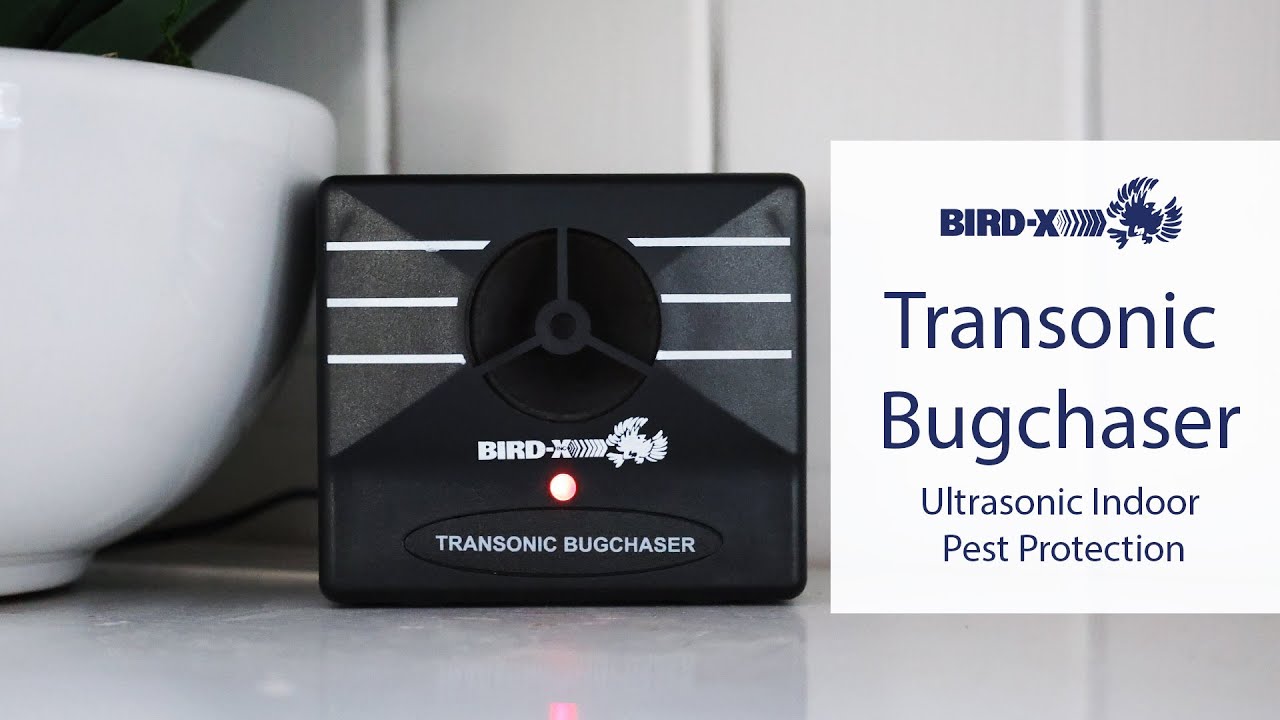 Transonic Bugchaser: ультразвуковая технология для борьбы с вредителями.
