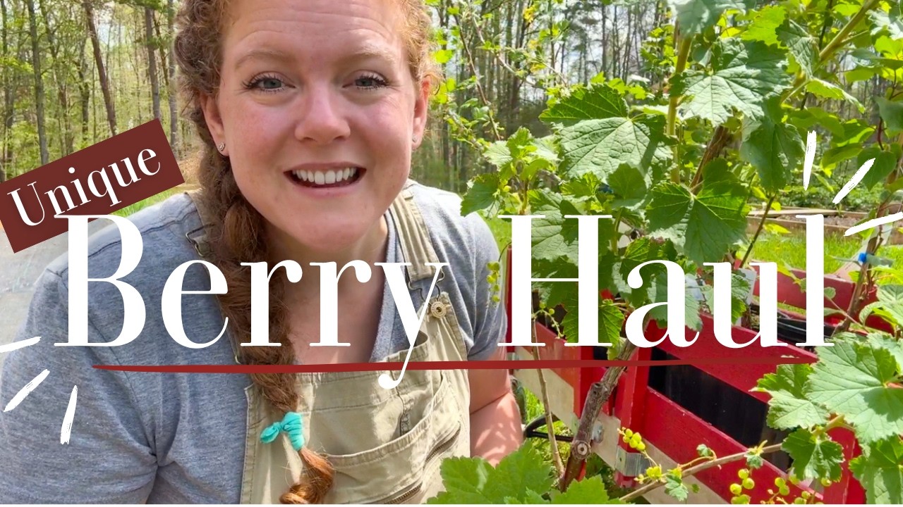 5 Unique Berry Varieties🥝🍒 Plant Haul for Zone 7 Garden
