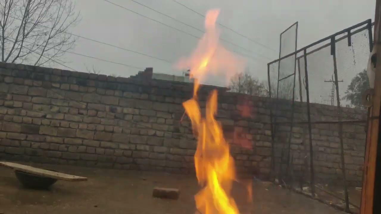 Thand Mai kaboteron ki afazat #Hazara #pigeon #abbottabad