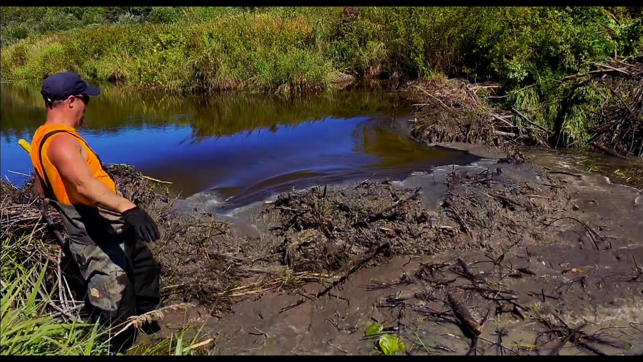 Richer's Beaver Dam Removal #2   A Collapse!