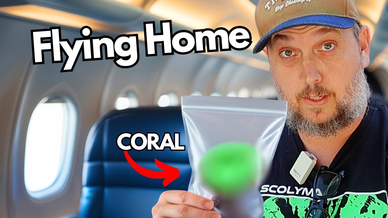 Transporting Live Coral on a Plane: The Biggest Challenge at Reefapalooza