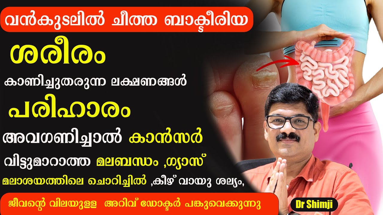 വൻകുടലിൽ ചീത്ത ബാക്ടീരിയ ശരീരം കാണിച്ചുതരുന്ന ലക്ഷണങ്ങൾ ,പരിഹാരം .അവഗണിച്ചാൽ കാൻസർ ?/Dr Shimji /IBS