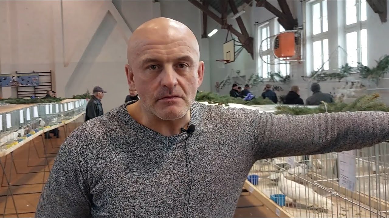 Wystawa Zamość 2023 odc 9 Janusz Rak - hodowla Van WET