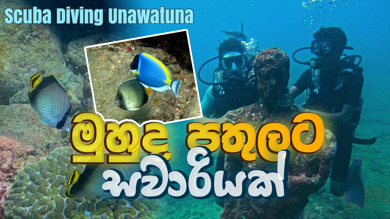 මුහුද පතුලෙ ගිලුණ නැව බලන්න ගියා 😁🌊⚓️ | Under water diving in unawatuna 🌊😁⚓️ 