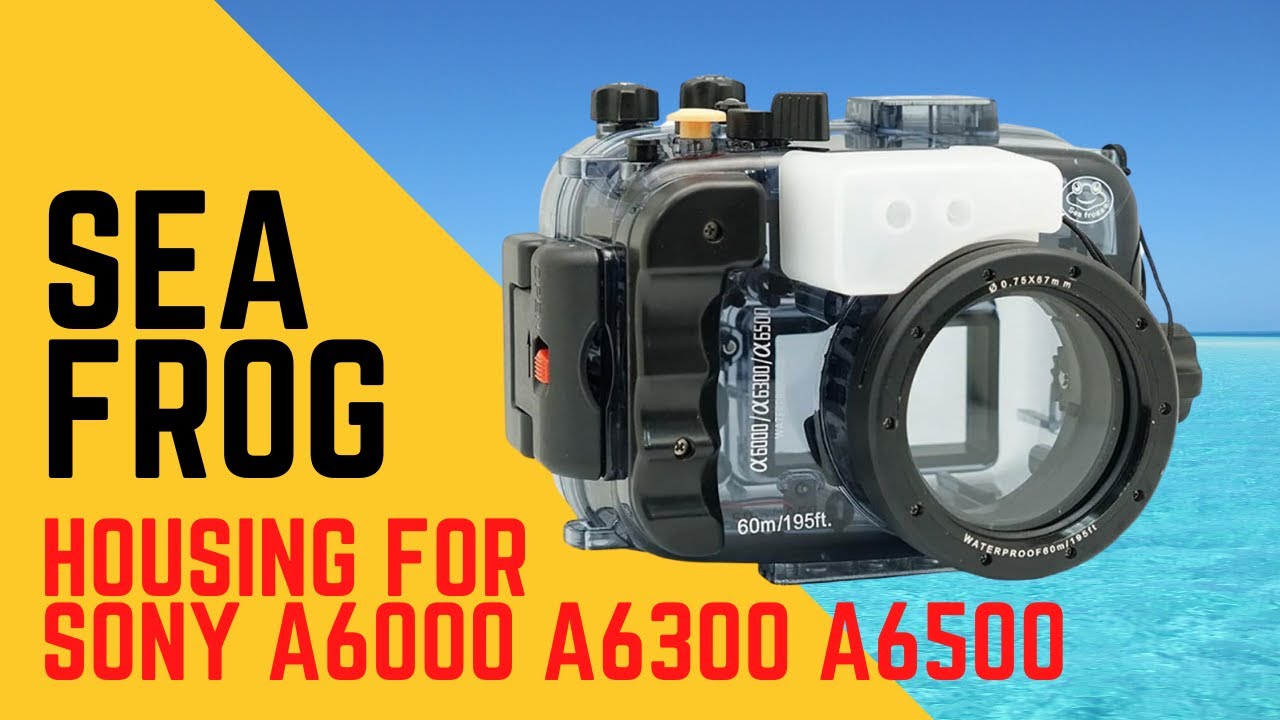 Sea Frog Waterproof Camera Housing for Sony A6000 A6300 A6500 (Unboxing)