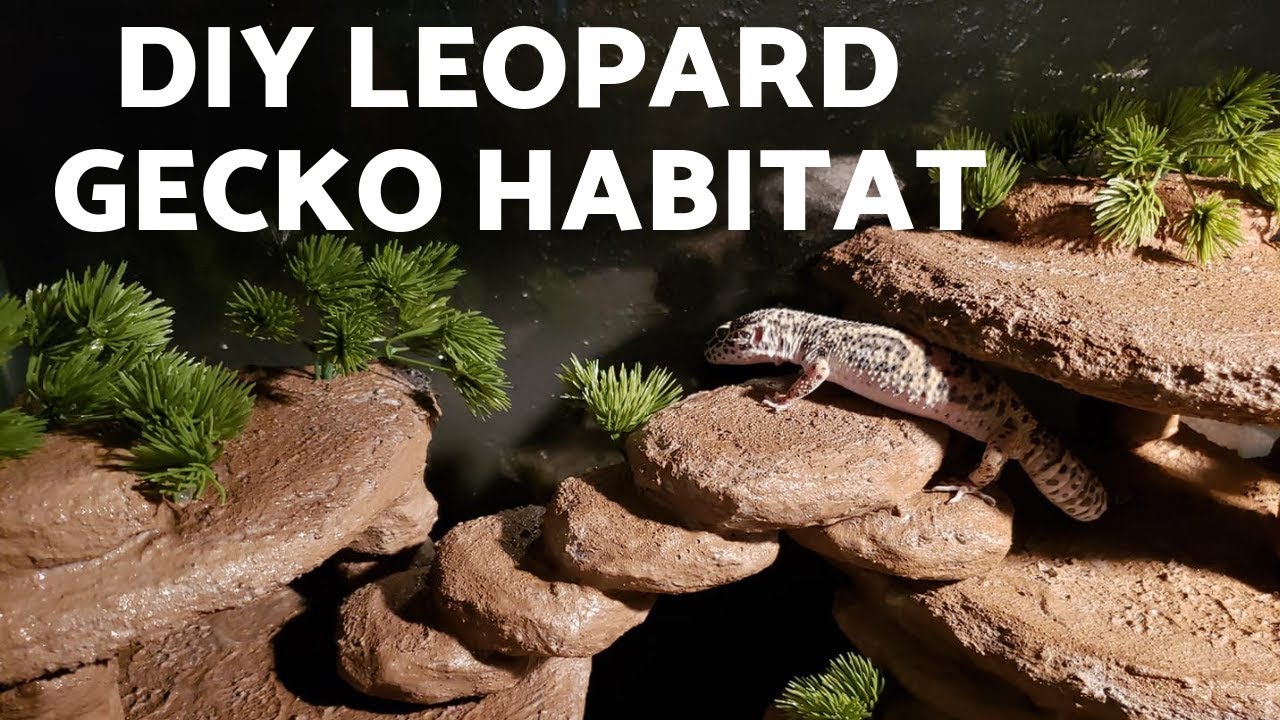 DIY Leopard Gecko Habitat - Foam Rock Insert