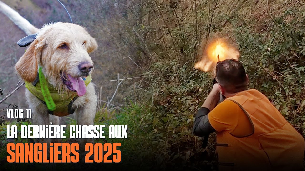 La dernière chasse de saison 2025 | Un beau tableau pour finir la saison !