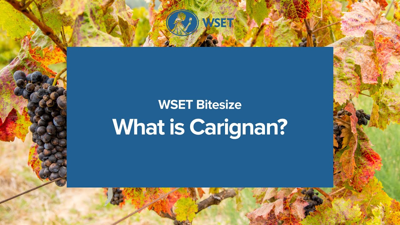 WSET Bitesize - Catalan wine series: What is Carignan?