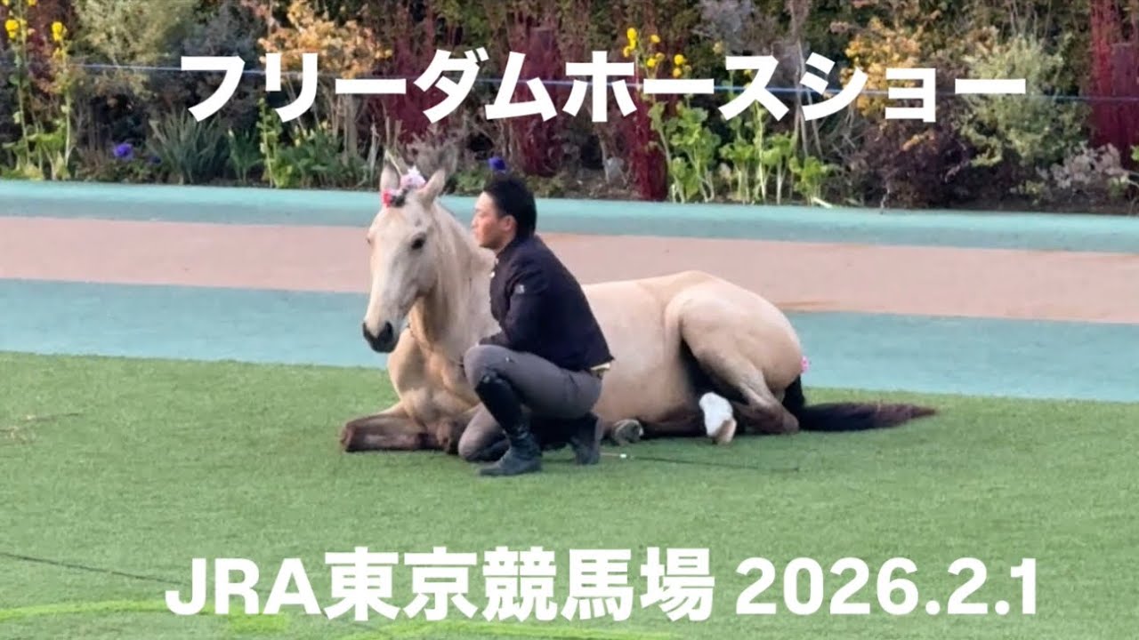 フリーダムホースショー 東京競馬場 最終レース終了後のパドック 2026.2.1