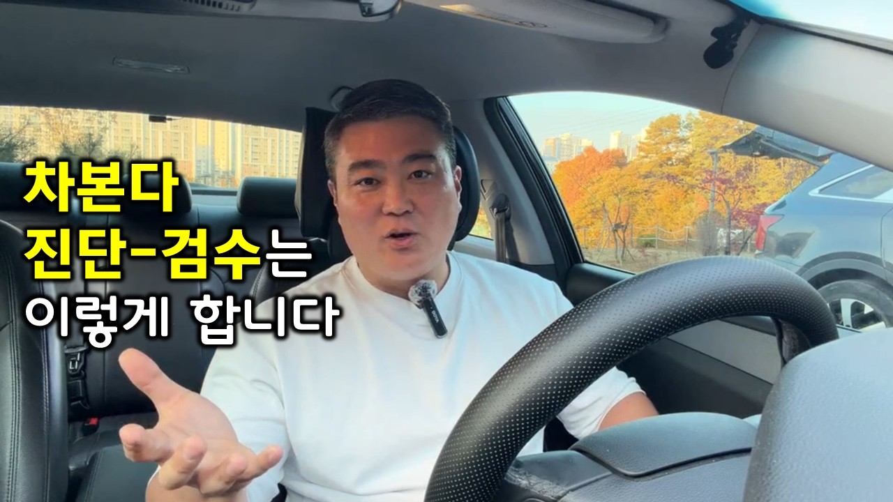 (주의 집중) 차본다 진단-검수는 이렇게 합니다