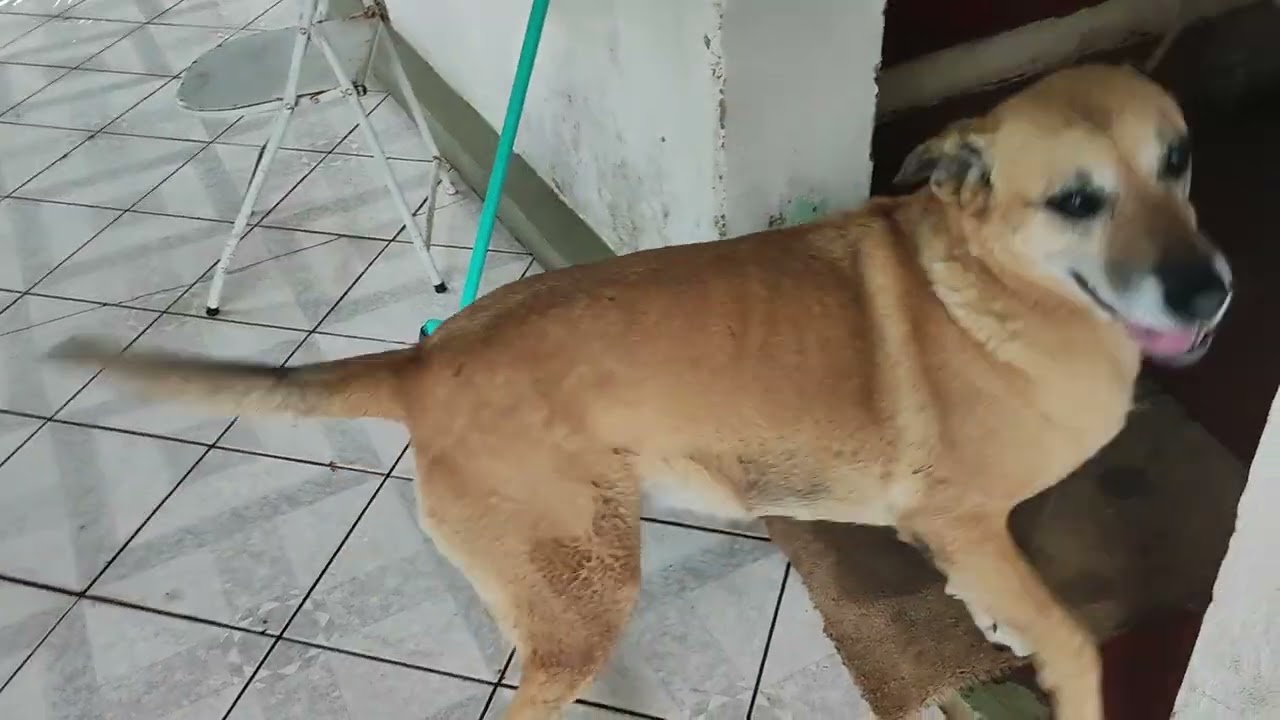 Chuva no Rincão.