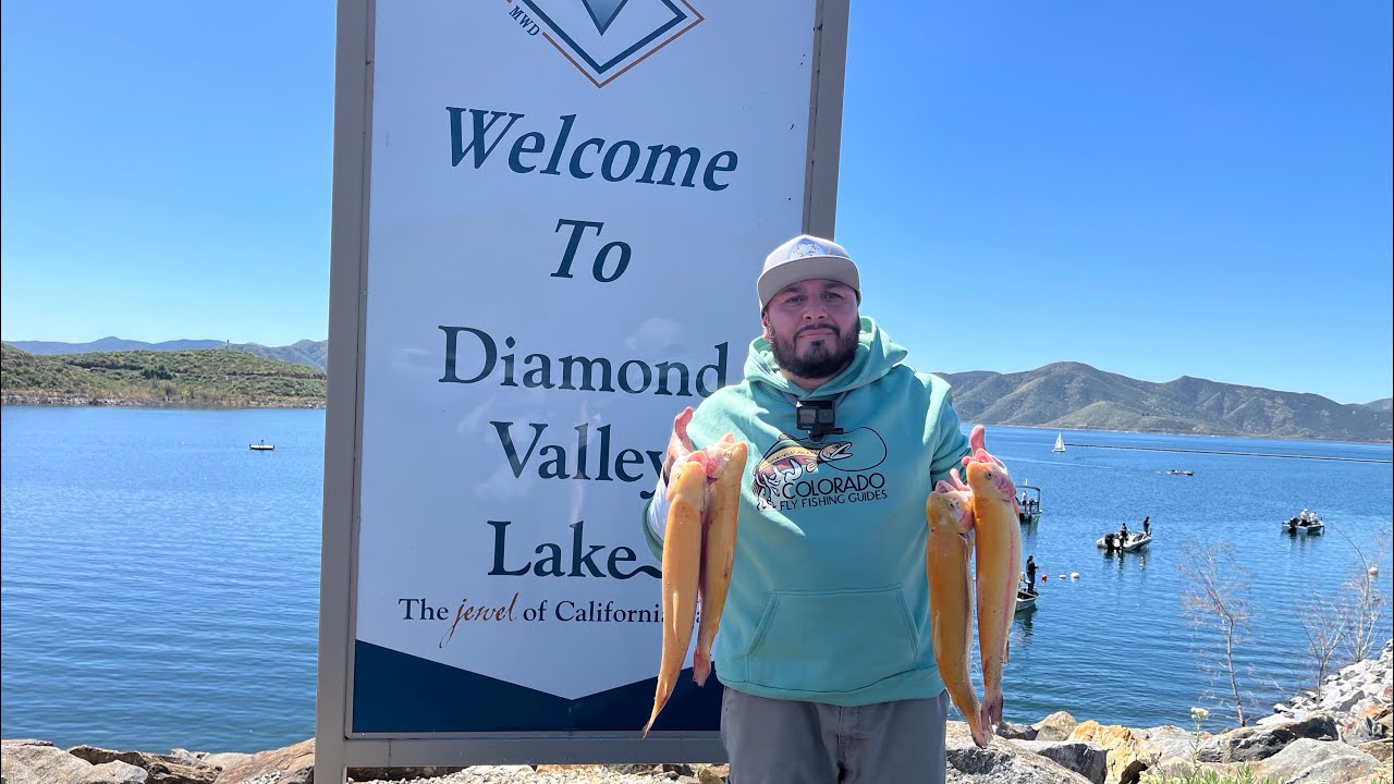 Limit ⚡️TROUT at Diamond Valley Lake with Jigs and Spoons/ Truchas en Diamond Valley Lake